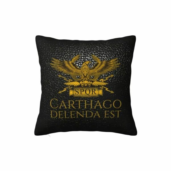 Taie d’oreiller Carthago Delenda Est
